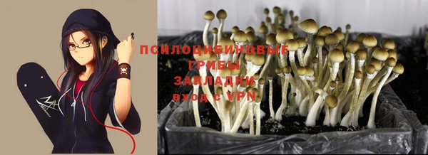 прущий лед Аркадак