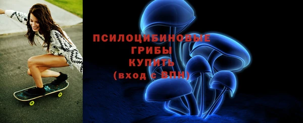 трава Армянск