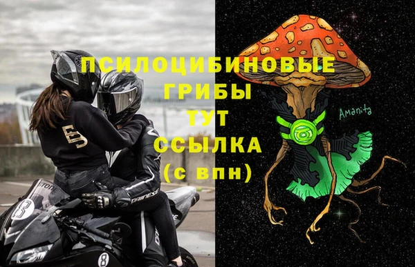 СК Арсеньев