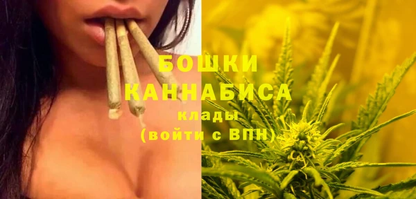 СК Арсеньев