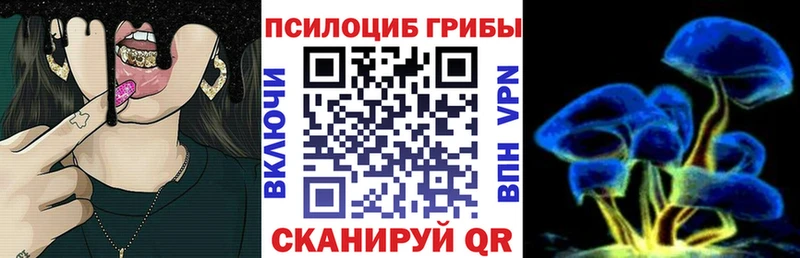 Галлюциногенные грибы Psilocybe  цена   Артёмовский 